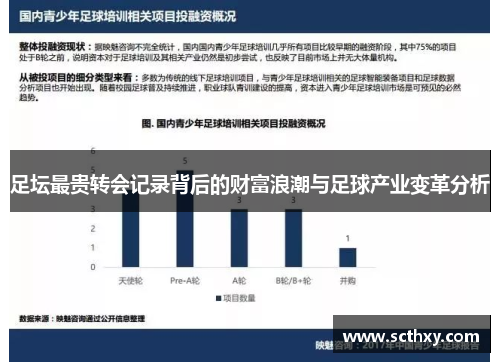 足坛最贵转会记录背后的财富浪潮与足球产业变革分析